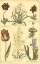 Picture of FLORAL BOUNTY IV