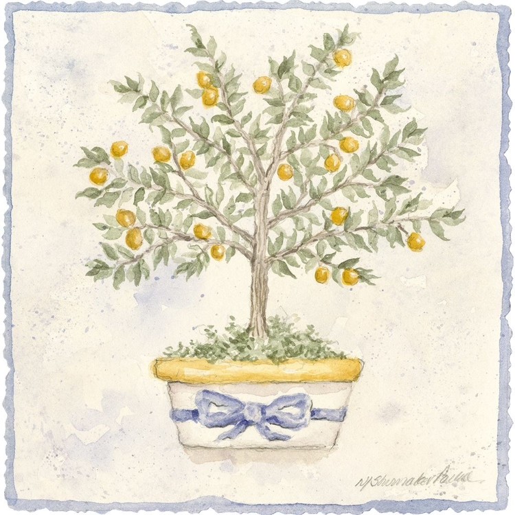 Picture of FRENCH TOPIARY I