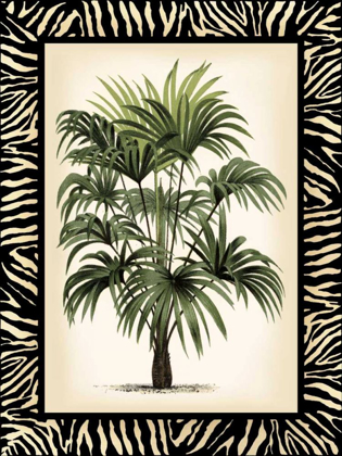 Picture of SMALL PALM IN ZEBRA BORDER I