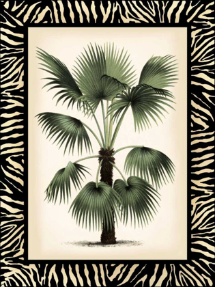 Picture of SMALL PALM IN ZEBRA BORDER II