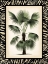 Picture of SMALL PALM IN ZEBRA BORDER II