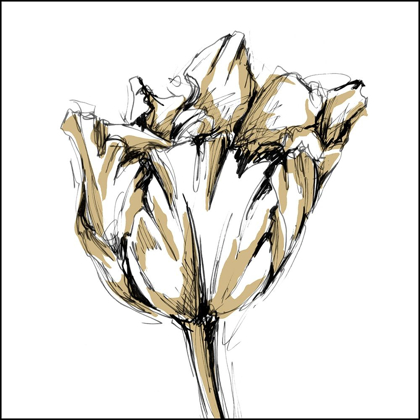 Picture of SMALL TULIP SKETCH I