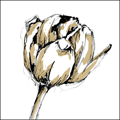Picture of SMALL TULIP SKETCH II