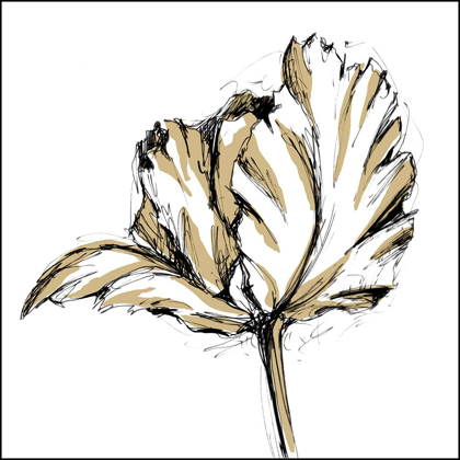 Picture of SMALL TULIP SKETCH III