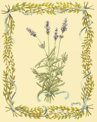 Picture of SMALL LAVENDER