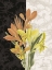 Picture of CENTERPIECE I