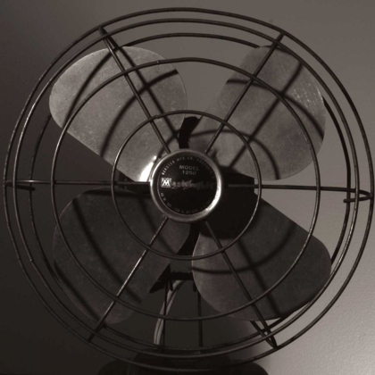 Picture of VINTAGE FAN STUDY IV