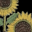Picture of FLOWER SONG III