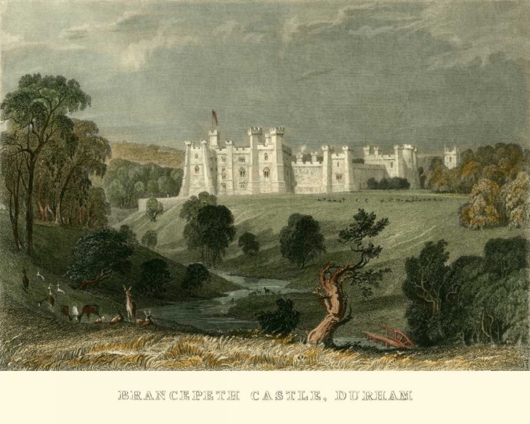 Picture of BRANCEPETH CASTLE, DURHAM