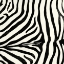 Picture of ANIMAL INSTINCT VII