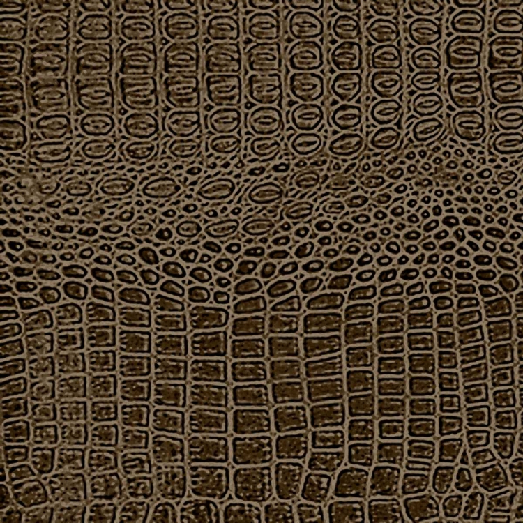 Picture of ANIMAL INSTINCT VIII