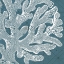 Picture of COASTAL MENAGERIE II