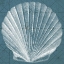 Picture of COASTAL MENAGERIE V