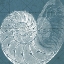 Picture of COASTAL MENAGERIE VI