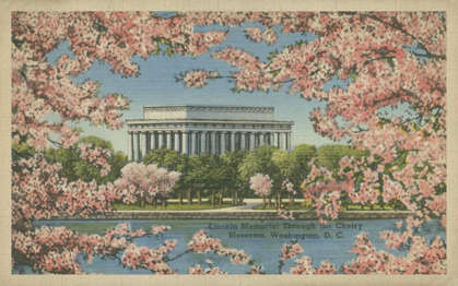 Picture of LINCOLN MEMORIAL AND CHERRY BLOSSOMS