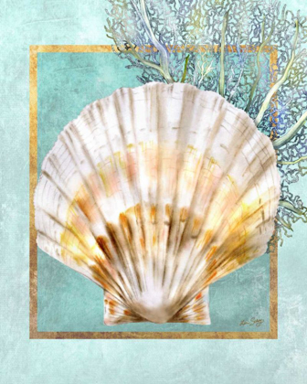 Picture of SCALLOP SHELL AND CORAL