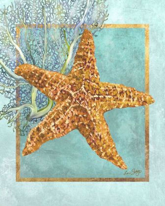 Picture of STARFISH AND CORAL