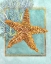 Picture of STARFISH AND CORAL