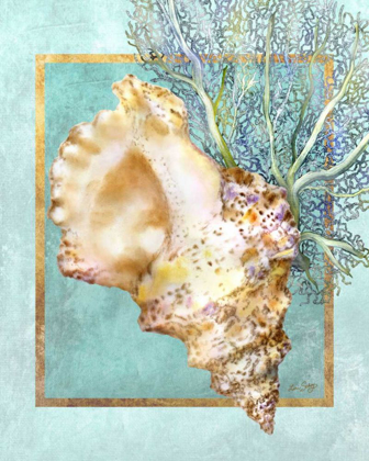 Picture of CONCH SHELL AND CORAL