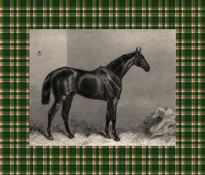 Picture of EQUESTRIAN PLAID I