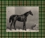 Picture of EQUESTRIAN PLAID I