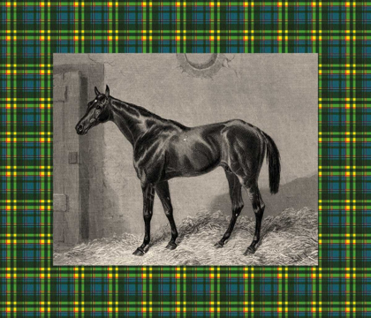Picture of EQUESTRIAN PLAID II