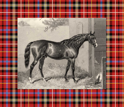 Picture of EQUESTRIAN PLAID III