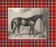 Picture of EQUESTRIAN PLAID III