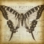 Picture of CARTE POSTALE BUTTERFLY I