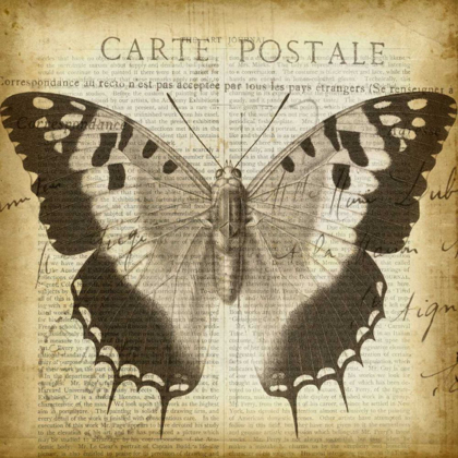 Picture of CARTE POSTALE BUTTERFLY II