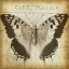 Picture of CARTE POSTALE BUTTERFLY II