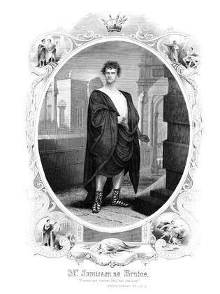 Picture of BRUTUS