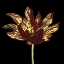Picture of NATURAL BEAUTY ON BLACK I