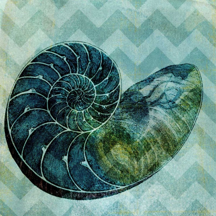 Picture of CHEVRON SHELL I