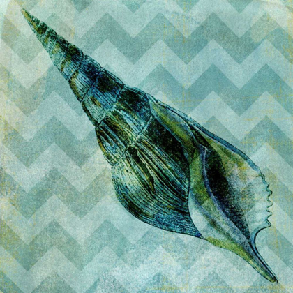 Picture of CHEVRON SHELL V