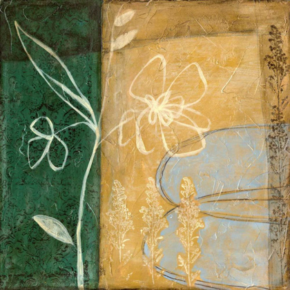 Picture of SMALL PRESSED WILDFLOWERS III