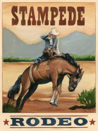 Picture of STAMPEDE RODEO 