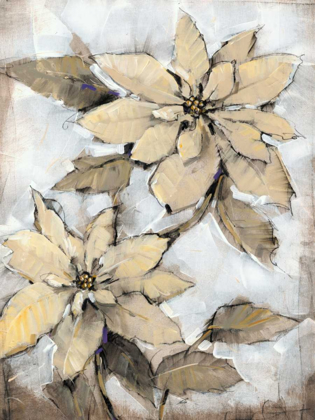 Picture of POINSETTIA STUDY I