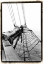 Picture of SET SAIL IV