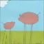 Picture of STICK-LEG PIG II
