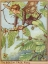 Picture of THE BEECH TREE FAIRY