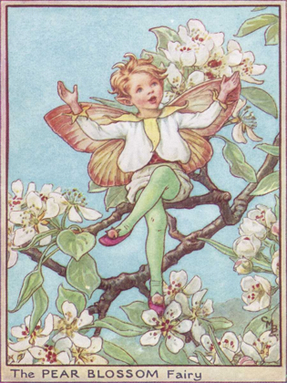 Picture of THE PEAR BLOSSOM FAIRY