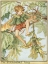Picture of THE SYCAMORE FAIRY