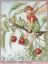 Picture of THE CHERRY TREE FAIRY
