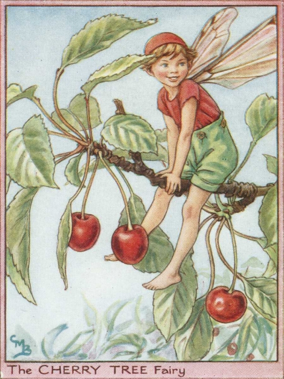 Picture of THE CHERRY TREE FAIRY