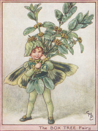 Picture of THE BOX TREE FAIRY