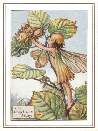 Picture of THE HAZELNUT FAIRY