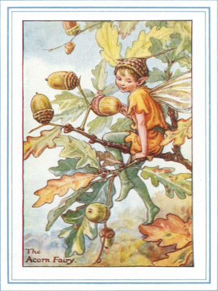 Picture of THE ACORN FAIRY