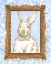 Picture of TEACHERS PET - RABBIT