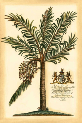 Picture of BRITISH COLONIAL PALM II